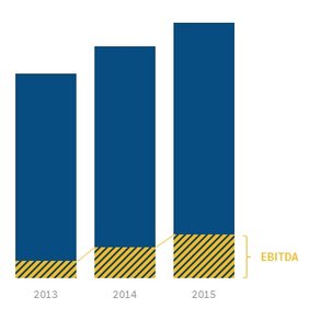 Entwicklung Umstätze & EBITDA von Technogym 2013 bis 2015